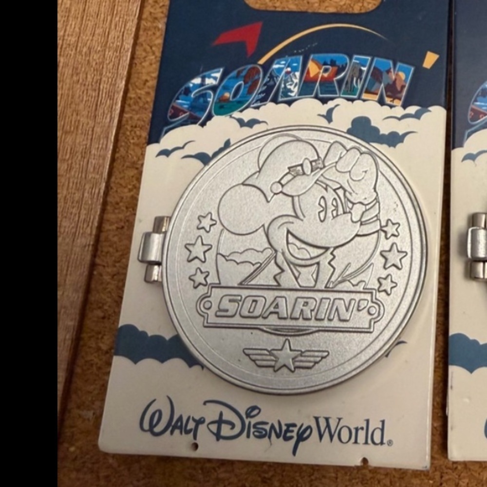 Authentic Disney Soarin' Limited Edition of 1500 (Two Available) Price for one